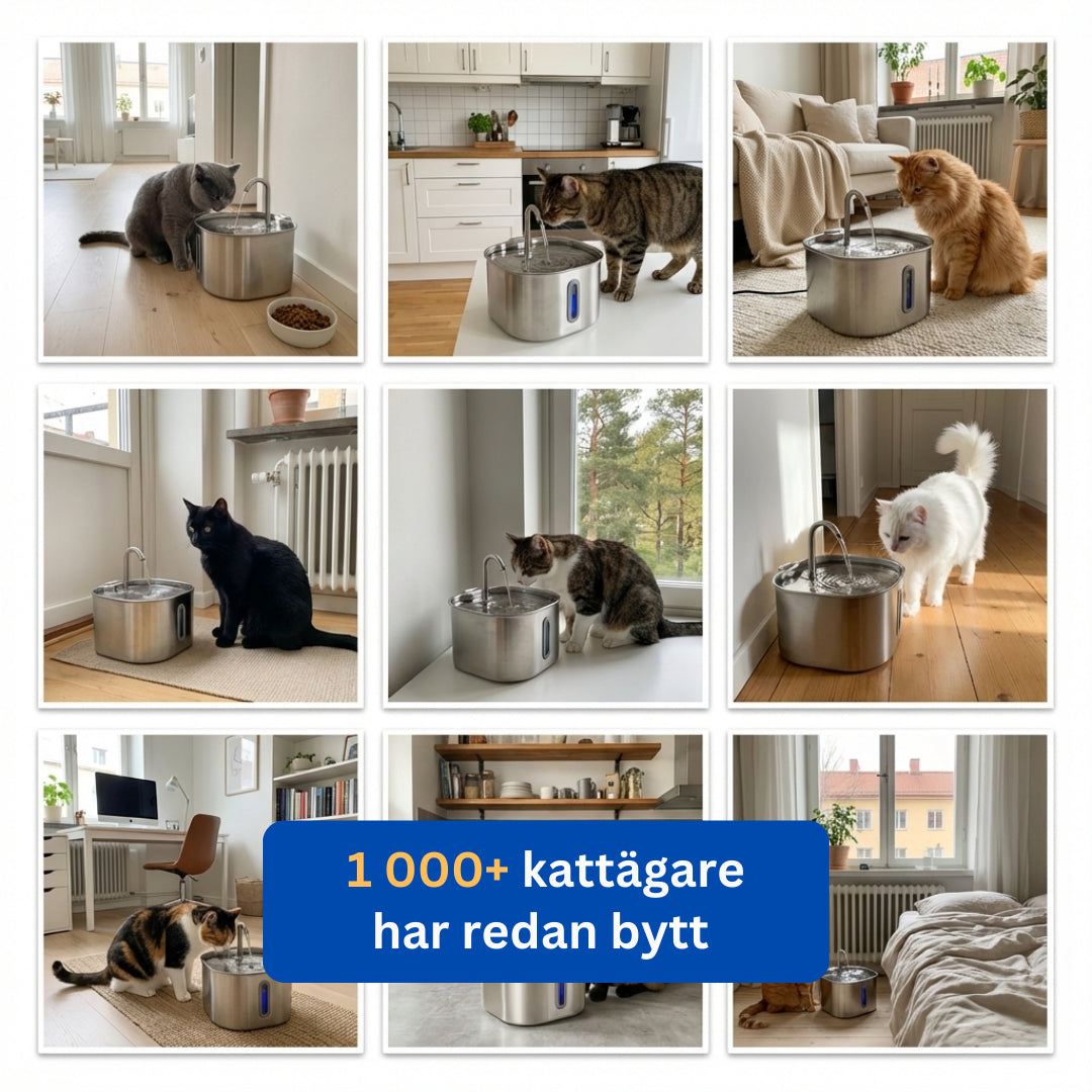 KATTVÄN FONTÄNPAKET